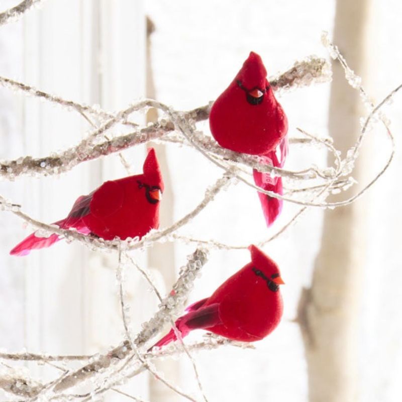 Bird Ornaments